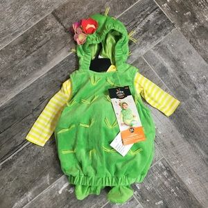 NWT Baby Cactus Halloween costume, 0 - 6 months